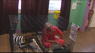 City councilwoman taken to jail... sort of