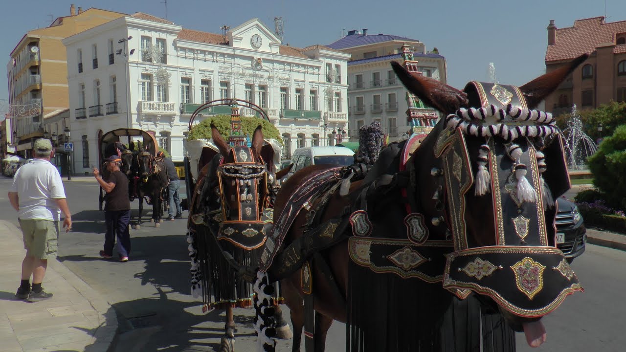 El homenaje a las mulas  @Ayto Tomelloso @VisitaTomelloso