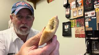JJ’s Bakery Mini Chocolate & Vanilla Boston Cream Pies (Lightly Glazed) # The Beer Review Guy