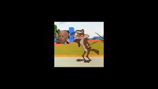I Got A Great Idea Lets Give Everything To Coyote