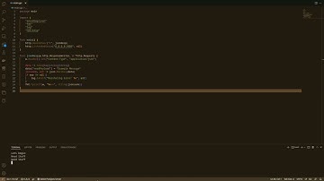 golang http Json response