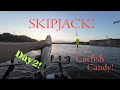 Skipjack Fishing Day 2!