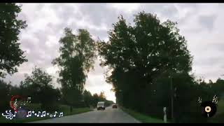 картинка: Она привыкла жить одна...