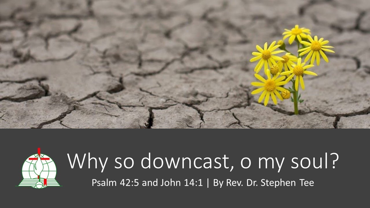 Why So Downcast O My Soul Psalm 42 5 John 14 1 YouTube Why so downcast o my soul psalm 42 5 john 14 1 youtube