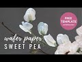 How to make sweet pea flowers for cake decorating using wafer paper  modern cakes and florals