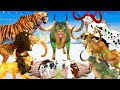 Giant lion tiger vs 10 big bull zombie cow buffalo saved by woolly mammoth elephant vs monster lion
