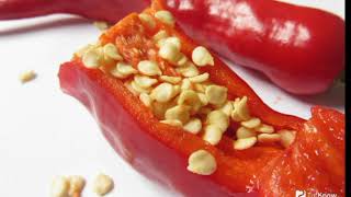 Garmdorining botanik ta rifi SD