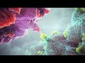 Gamma delta tcell therapy animation