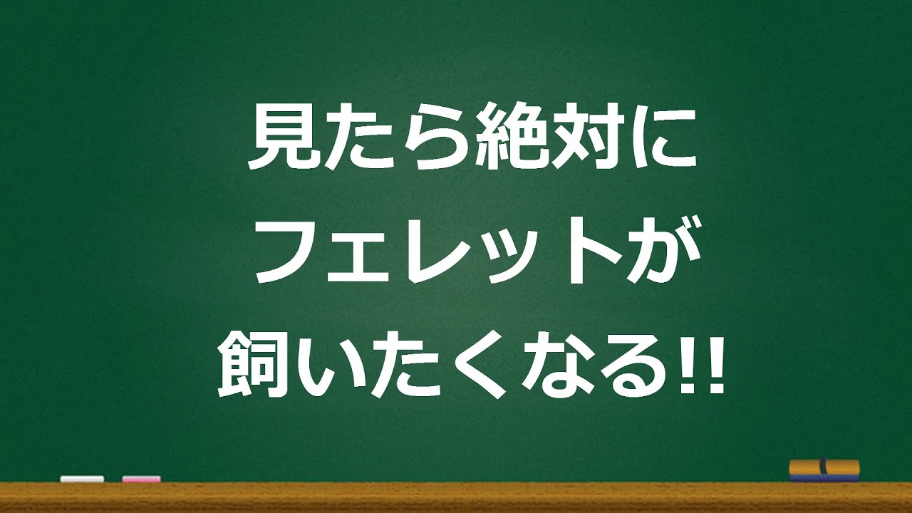 最新面白ニュース 18年1月