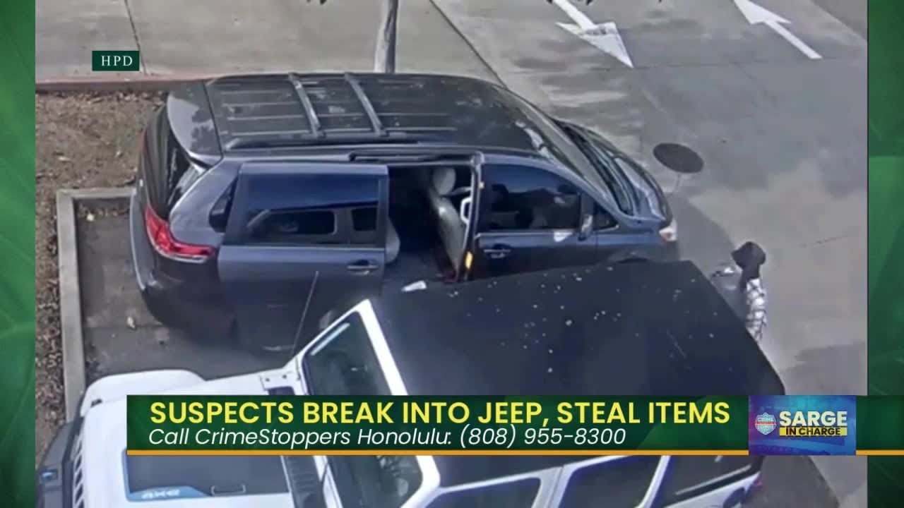 Crimestoppers Honolulu: the luggage looters, the caned criminal and the bright bank robber