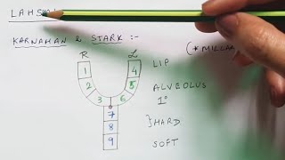 Classification cleft palate - Part 2 screenshot 2