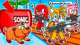 I Became A Capybara In Shrink Hide & Seek Roblox