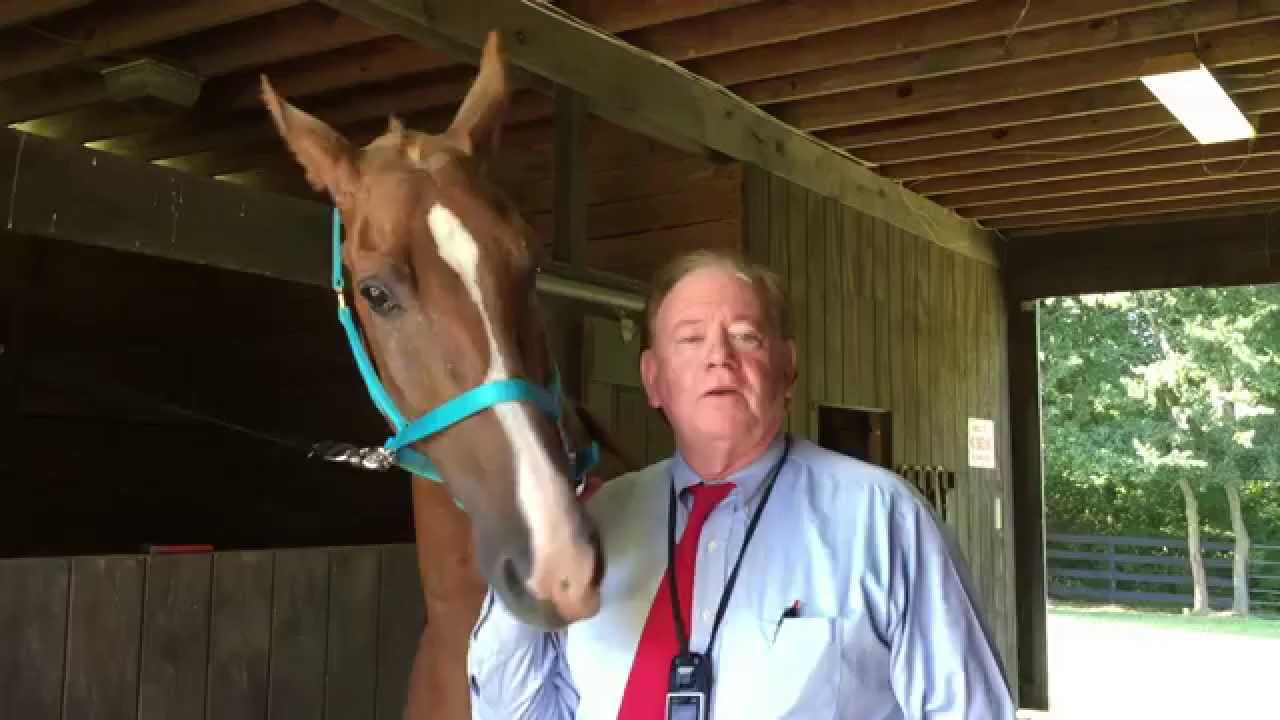 PLEASE ASK MTSU PRESIDENT DR. SIDNEY A. MCPHEE TO BAN BIG LICK ANIMAL  CRUELTY ON THE MTSU CAMPUS - YouTube