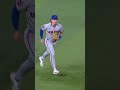 Nick Morabito makes the diving catch 🙌 #mlb #baseball #nymets #sports #highlights #sportshighlights