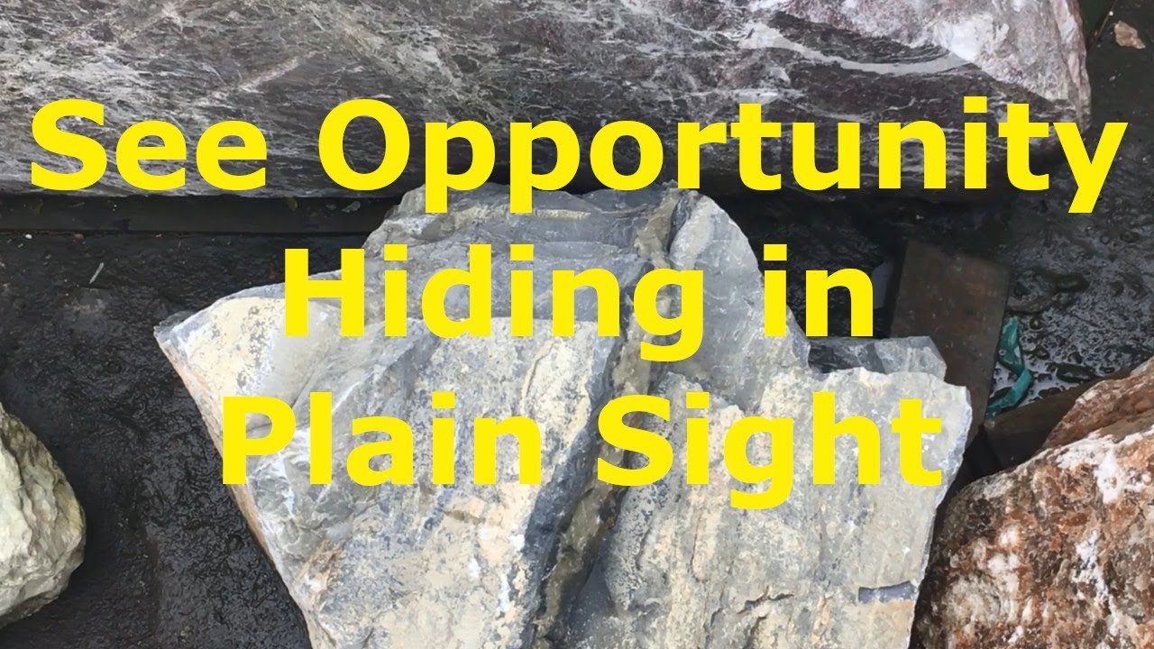 Opportunity Hiding in Plain Sight - YouTube