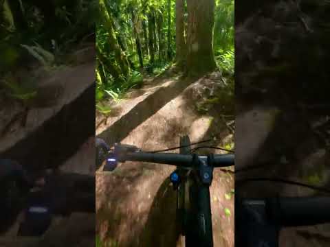 This Is What Perfect Trail Flow Feels Like 🤘