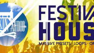 Rankin Audio - Festival House (Massive Presets Loops One-Shots)