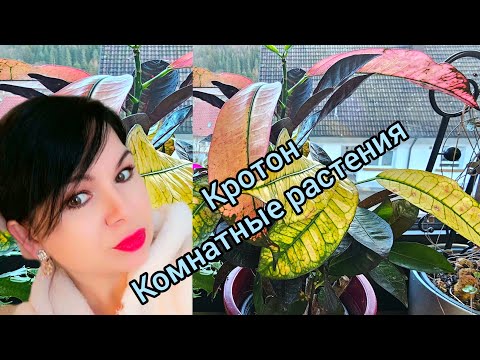 Подходящие условия для выращивания