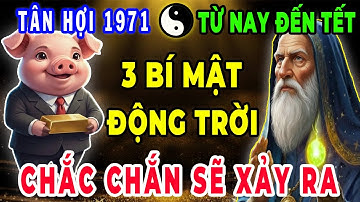 Tử Vi Tiết Lộ Bí Mật Động Trời: Tân Hợi 1971 Từ Nay Đến Tết, Nhớ Kỹ 3 Điều Này Để Tránh Họa Đắc Lộc