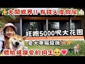 【輕井澤】日本有錢人的度假屋！？5000呎花園＋愛犬專屬設施🐾✨ 體驗真正被寵愛的狗生🥹💗 guess how much??💸 #家族旅行 