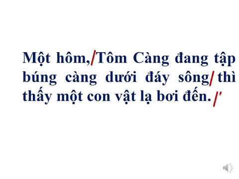 [Tập đọc 2] Tôm càng và cá con - Tuần 26