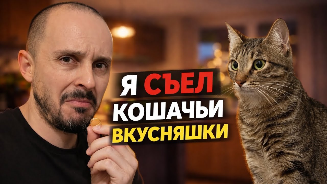 Я съел кошачьи вкусняшки в честь Стешиного ДР || Поход к ветеринару
