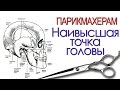 Артем Любимов - радиальный пробор и наивысшая точка головы.