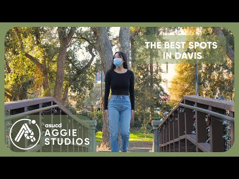 The Best Spots in Davis (According to UC Davis Students)