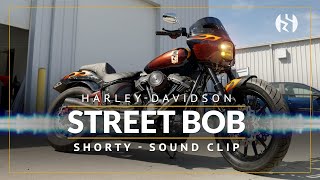 Sawicki  Speed - Harley-Davidson Street Bob - Shorty Sound Clip