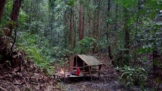 Solo Bushcraft Indonesia ค่ำคืนอันน่าสยดสยอง พักผ่อนท่ามกลางสายฝน และชีวิตป่า