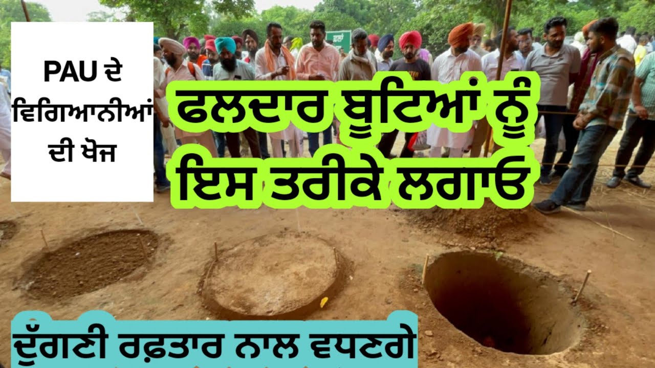 ਖੇਤਾਂ ਚ ਬੂਟੇ ਲਗਾਉਣ ਤੋਂ ਪਹਿਲਾਂ ਆਹ ਵੀਡਿਓ ਚ ਦਿੱਤੀ ਜਾਣਕਾਰੀ ਜ਼ਰੂਰ ਸੁਣੋ ਨਹੀਂ ਬੂਟਾ ਲਗਾਉਣ ਲੱਗੇ ਗਲਤੀ ਕਰੋਗੇ