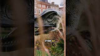 Science Finally Answered  Chicken or Egg First