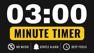 3 Minute Timer – Countdown Timer (GENTLE ALARM / NO MUSIC / MINIMAL)