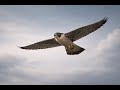 MetinDeep – Desert Air | Underground Deep House
