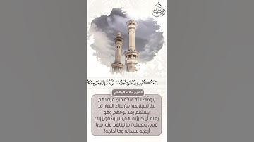 القارئ / حاتم المالكي