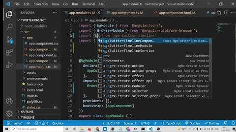 Angular 13 Project to Embed Twitter Timeline Tweets of Username Using ngx-twitter-timeline in TS