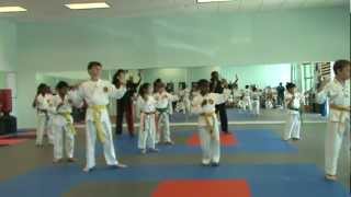 Philana Chang is doing Tae Kwon Do Jayoo form during her graduation to green belt.