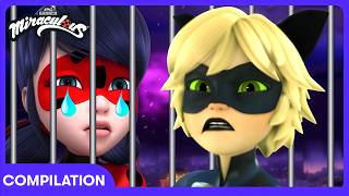 save me cat noir best miraculous ladybug