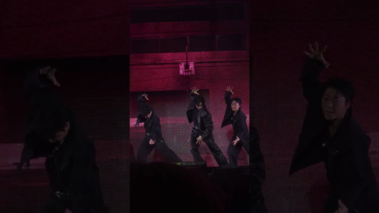 [이준호 직캠/4K] CAN I 20260125 LEEJUNHO 이준호 팬미팅 캔아이 화정체육관 2구역 15열 시야 갤럭시25울트라