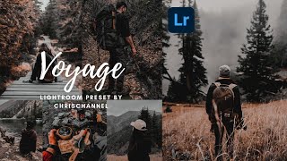 FREE LIGHTROOM PRESET | VOYAGE Preset screenshot 2