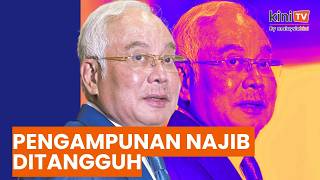 Agong tangguh permohonan pengampunan Najib, bebaskan 65 banduan