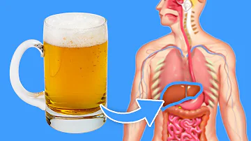 Ist es gesund jeden Tag ein Bier zu trinken?