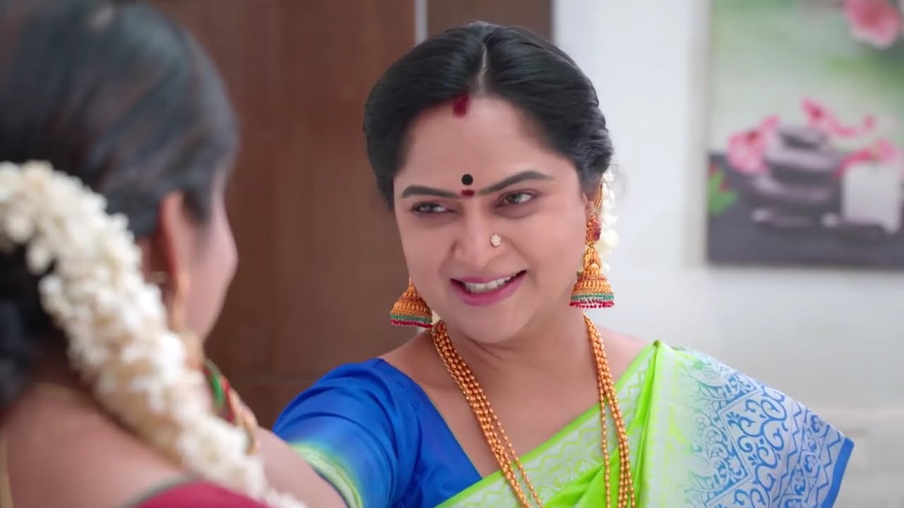 Vedavalli's Assurance to Preeti - Vidhya No 1 - Full Ep 234 - Zee Tamil