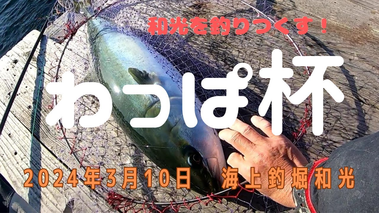 激闘のわっぱ杯！海上釣堀和光を釣りつくす