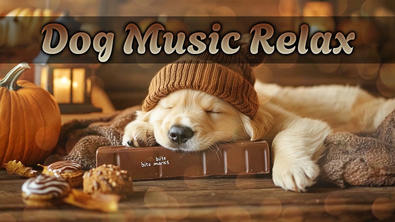 Успокаивающая музыка для собак на 12 часов 🐕‍🦺 Избавьтесь от тревоги разлуки | Сон и расслабление