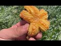鲜妹赶海捡到许多小海螺，把见到的海星送给了小朋友，心花怒放#赶海赶海赶海啦 #赶海