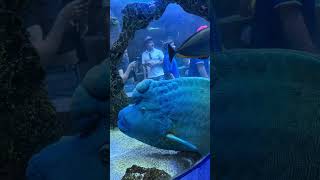 The Dallas World Aquarium
