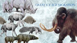 Ice Age characters in real life - Part 1