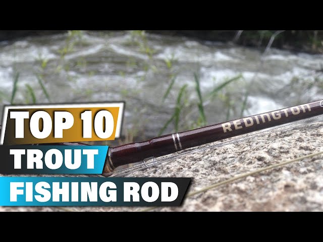 Best Trout Fishing Rods In 2023 - Top 10 Trout Fishing Rod Review