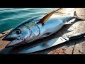 Everyday of My Life ❗🔥 Exploring Sorong Fish Market live broadcast of yellowfin tuna cutting